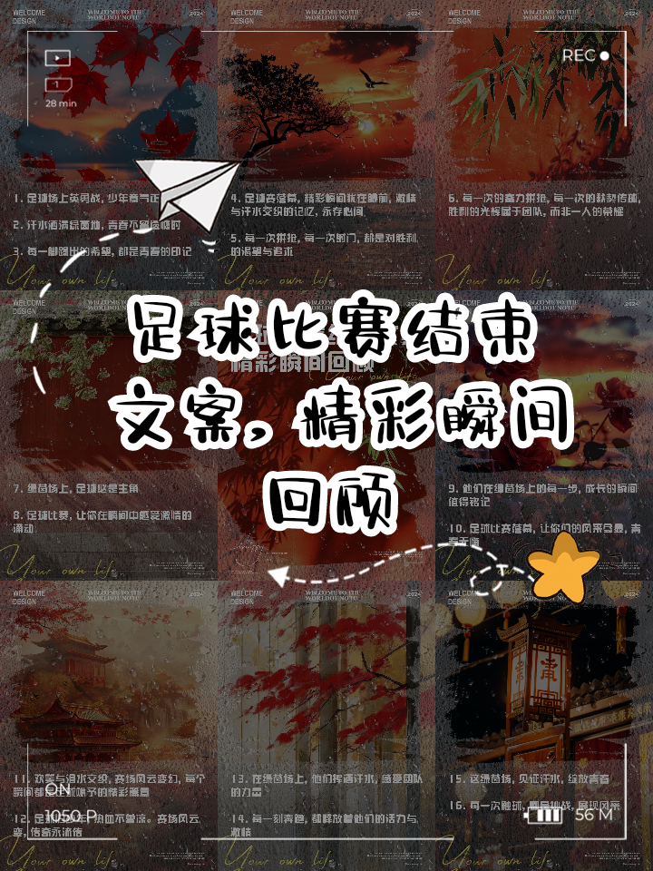 包含精彩比赛瞬间永留，激情燃烧无尽的词条